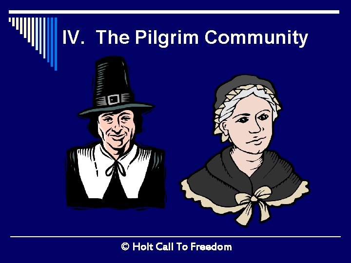 IV. The Pilgrim Community © Holt Call To Freedom 