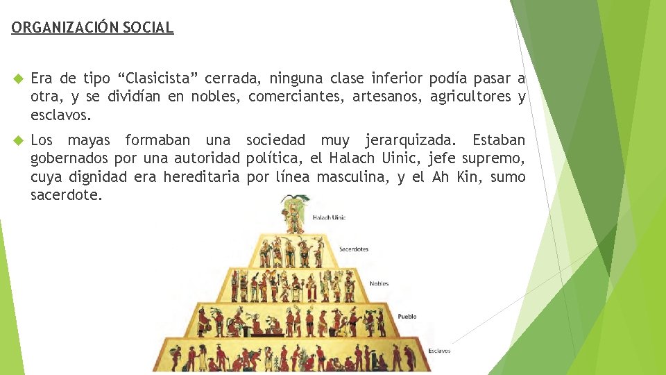 ORGANIZACIÓN SOCIAL Era de tipo “Clasicista” cerrada, ninguna clase inferior podía pasar a otra,