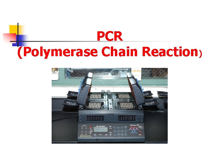PCR (Polymerase Chain Reaction) 