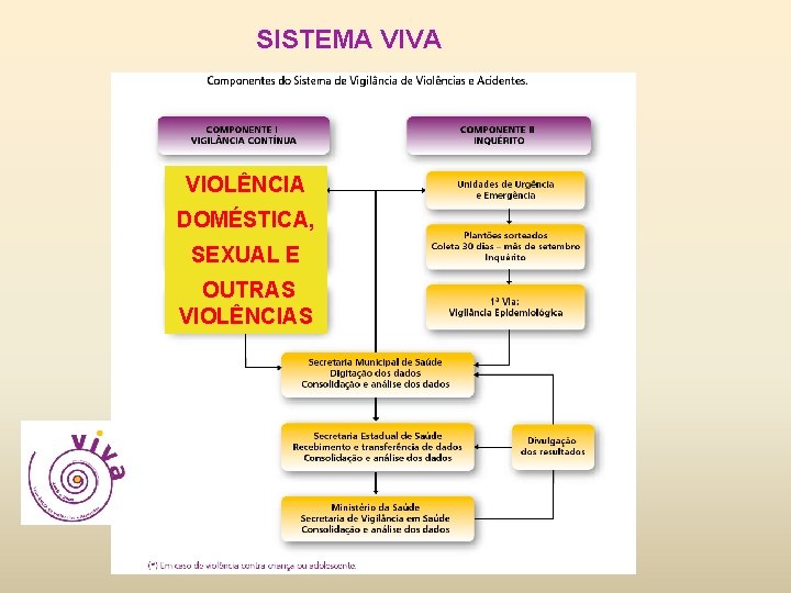 SISTEMA VIVA VIOLÊNCIA DOMÉSTICA, SEXUAL E OUTRAS VIOLÊNCIAS 