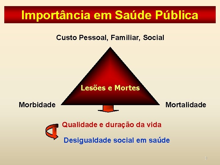 Importância em Saúde Pública Custo Pessoal, Familiar, Social Lesões e Mortes Morbidade Mortalidade Qualidade