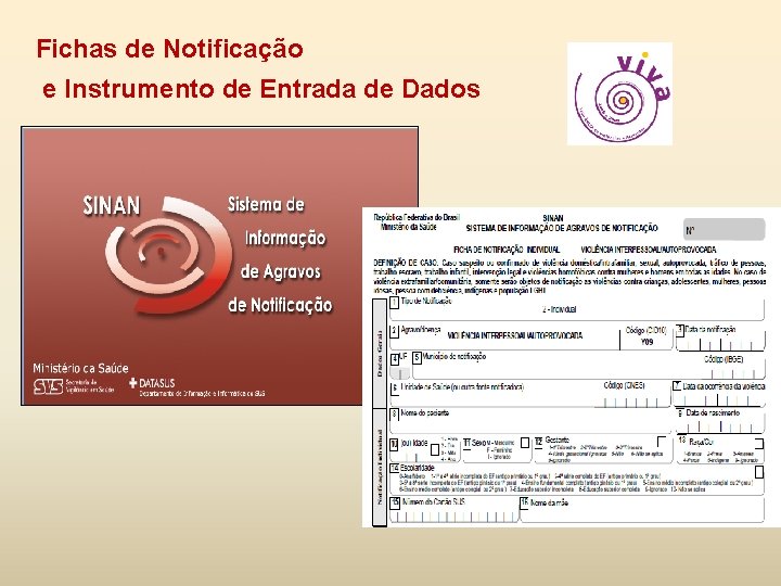 Fichas de Notificação e Instrumento de Entrada de Dados 