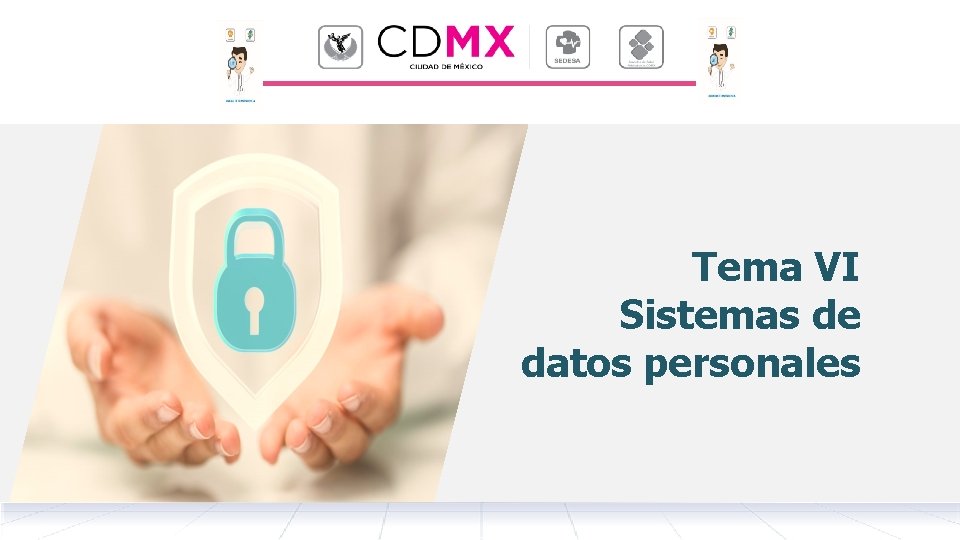 Tema VI Sistemas de datos personales 