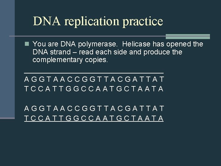 DNA replication practice n You are DNA polymerase. Helicase has opened the DNA strand