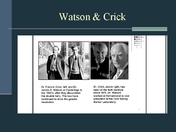 Watson & Crick 