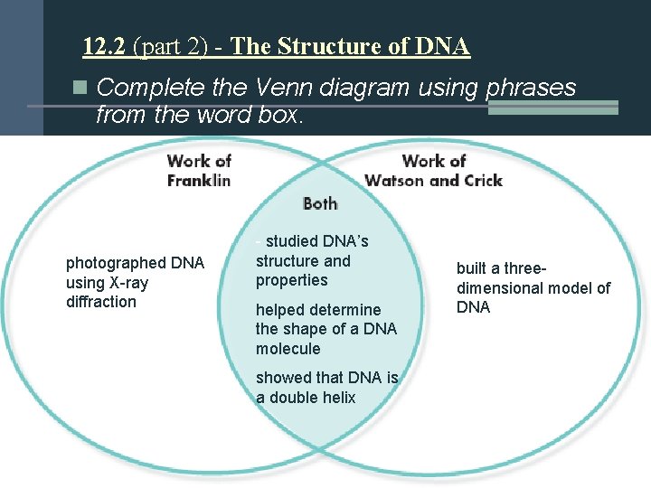 12. 2 (part 2) - The Structure of DNA n Complete the Venn diagram