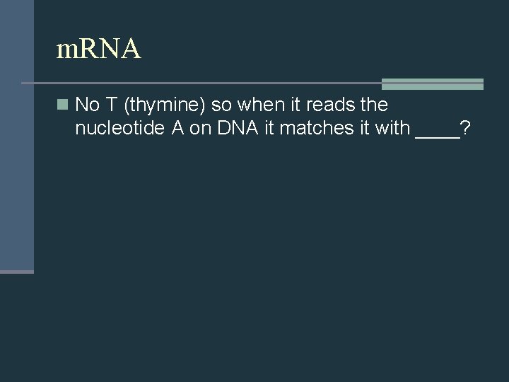 m. RNA n No T (thymine) so when it reads the nucleotide A on