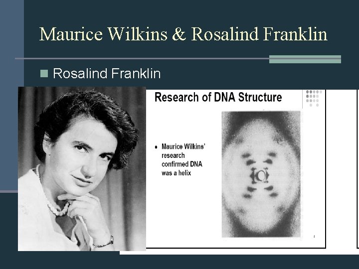 Maurice Wilkins & Rosalind Franklin n Rosalind Franklin 