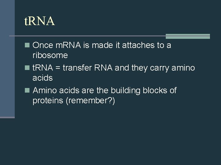 t. RNA n Once m. RNA is made it attaches to a ribosome n