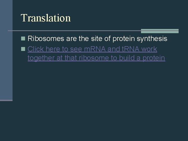 Translation n Ribosomes are the site of protein synthesis n Click here to see