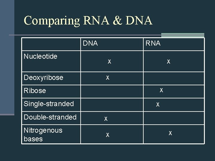 Comparing RNA & DNA RNA Nucleotide Deoxyribose X X X Ribose X Single-stranded Double-stranded