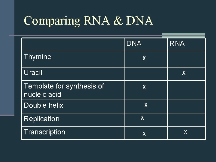 Comparing RNA & DNA Thymine RNA X Uracil Template for synthesis of nucleic acid