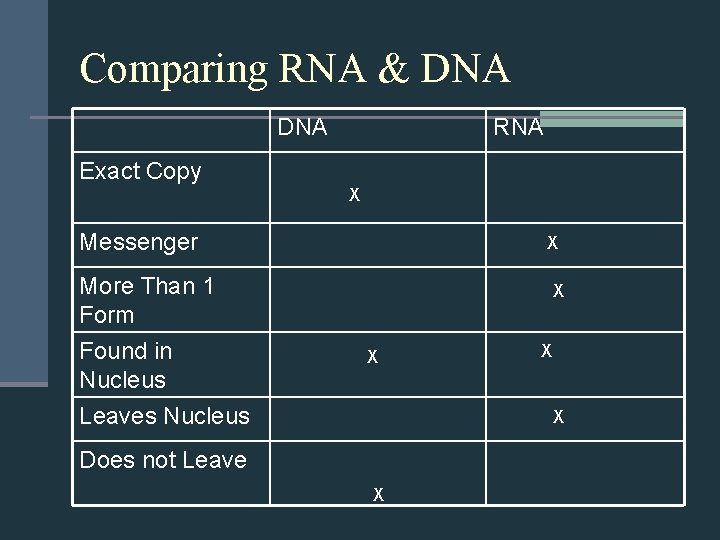 Comparing RNA & DNA RNA Exact Copy X Messenger More Than 1 Form Found
