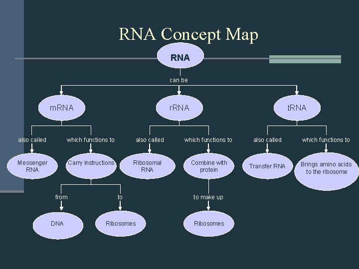 RNA Concept Map RNA can be m. RNA r. RNA also called which functions