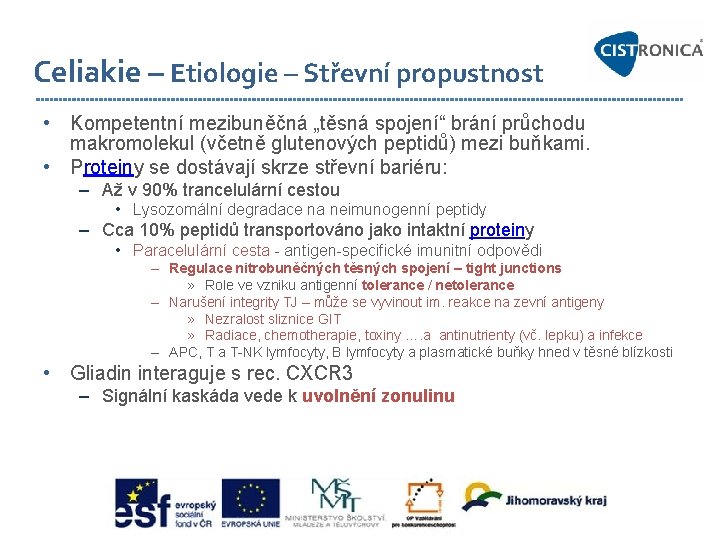 Celiakie – Etiologie – Střevní propustnost • Kompetentní mezibuněčná „těsná spojení“ brání průchodu makromolekul