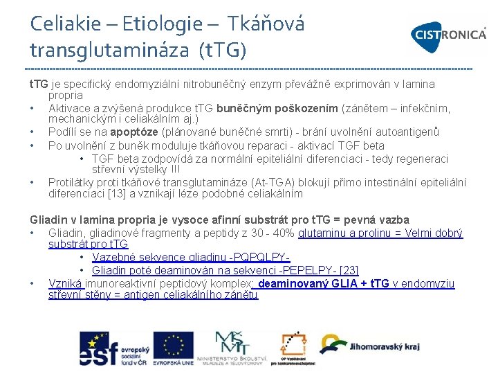 Celiakie – Etiologie – Tkáňová transglutamináza (t. TG) t. TG je specifický endomyziální nitrobuněčný