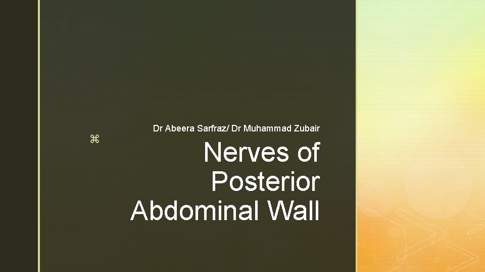 z Dr Abeera Sarfraz/ Dr Muhammad Zubair Nerves of Posterior Abdominal Wall 