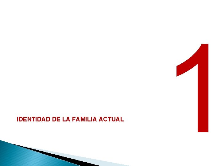 IDENTIDAD DE LA FAMILIA ACTUAL 1 