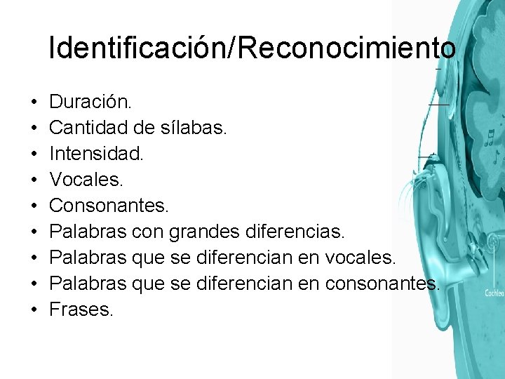 Identificación/Reconocimiento • • • Duración. Cantidad de sílabas. Intensidad. Vocales. Consonantes. Palabras con grandes