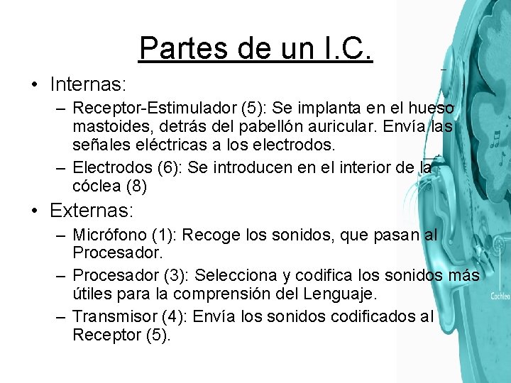 Partes de un I. C. • Internas: – Receptor-Estimulador (5): Se implanta en el