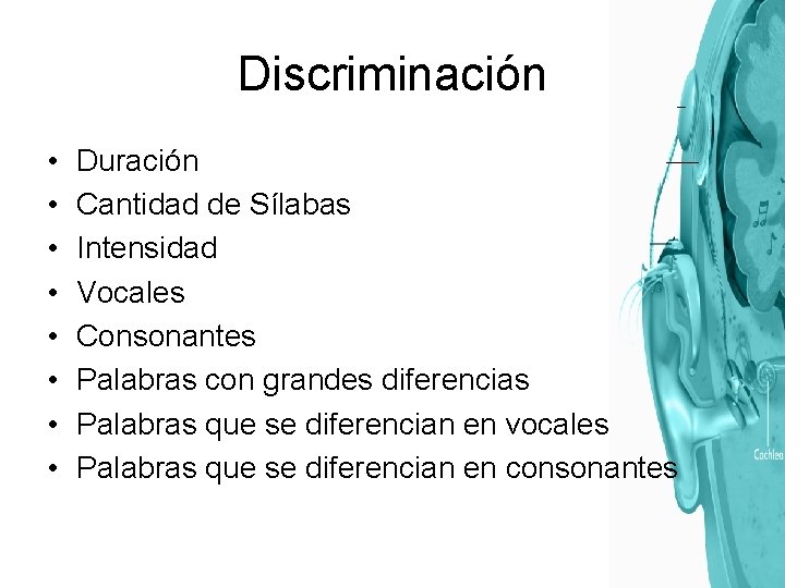 Discriminación • • Duración Cantidad de Sílabas Intensidad Vocales Consonantes Palabras con grandes diferencias