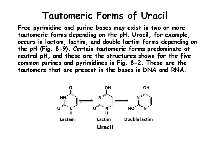 Tautomeric Forms of Uracil Free pyrimidine and purine bases may exist in two or