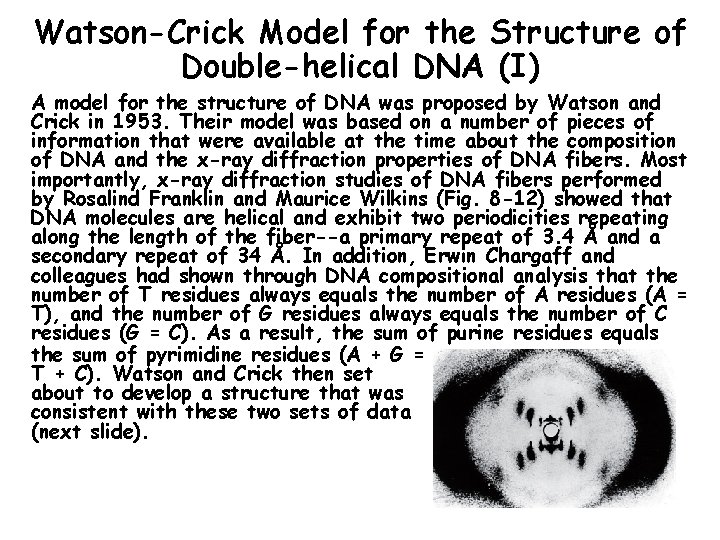 Watson-Crick Model for the Structure of Double-helical DNA (I) A model for the structure