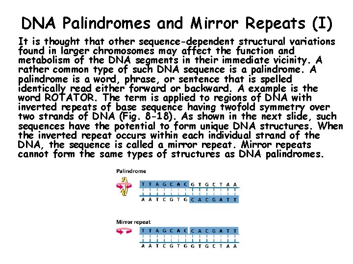 DNA Palindromes and Mirror Repeats (I) It is thought that other sequence-dependent structural variations