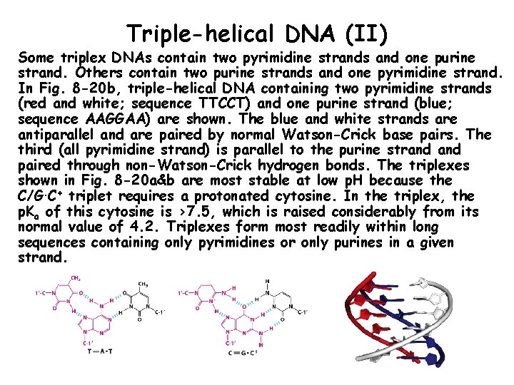 Triple-helical DNA (II) Some triplex DNAs contain two pyrimidine strands and one purine strand.