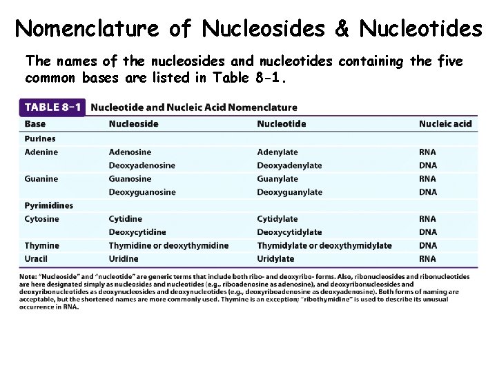 Nomenclature of Nucleosides & Nucleotides The names of the nucleosides and nucleotides containing the