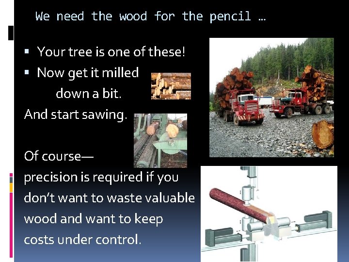 We need the wood for the pencil … Your tree is one of these!