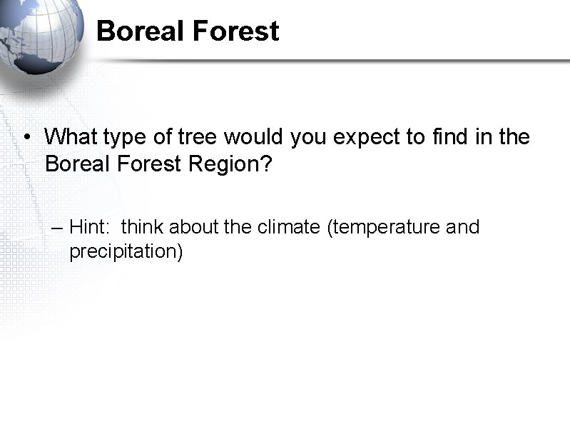 Boreal Forest • What type of tree would you expect to find in the