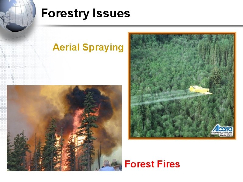 Forestry Issues Aerial Spraying Forest Fires 