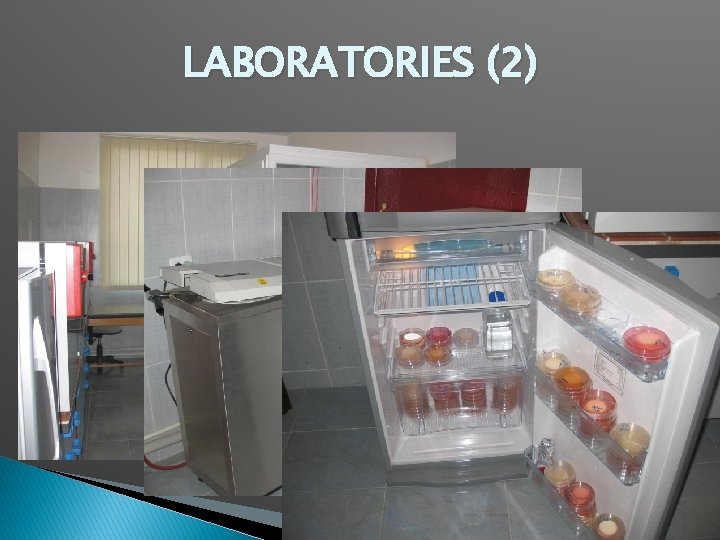 LABORATORIES (2) 13 LABORATORIES (2) 13