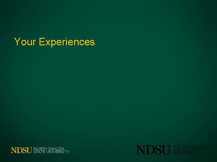 Your Experiences 