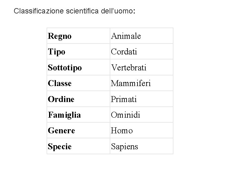 Classificazione scientifica dell’uomo: Regno Animale Tipo Cordati Sottotipo Vertebrati Classe Mammiferi Ordine Primati Famiglia