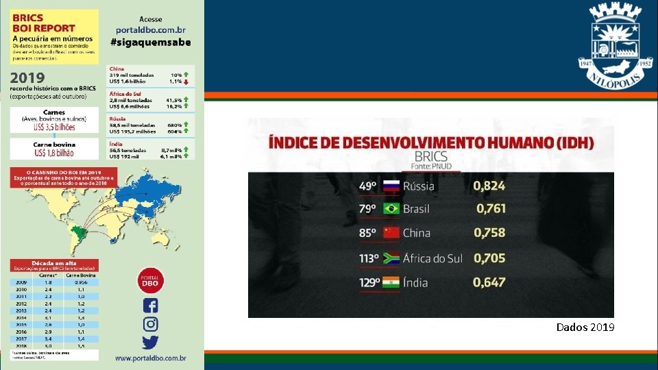 Dados 2019 