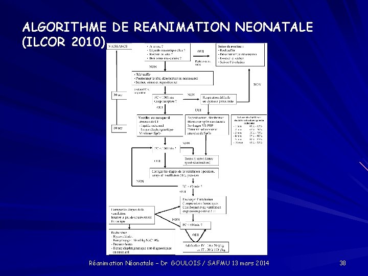 ALGORITHME DE REANIMATION NEONATALE (ILCOR 2010) Réanimation Néonatale – Dr GOULOIS / SAFMU 13