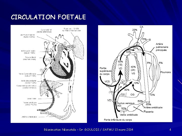 CIRCULATION FOETALE Réanimation Néonatale – Dr GOULOIS / SAFMU 13 mars 2014 4 
