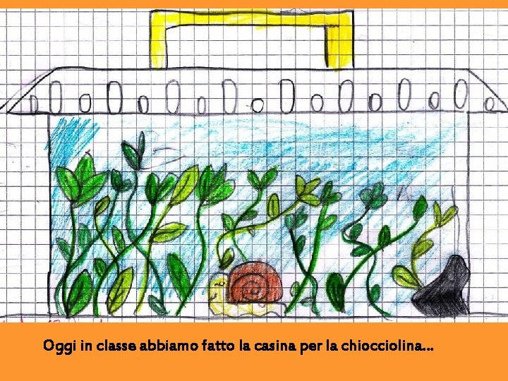 Oggi in classe abbiamo fatto la casina per la chiocciolina… 