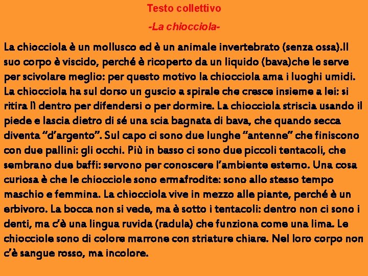 Testo collettivo -La chiocciola- La chiocciola è un mollusco ed è un animale invertebrato