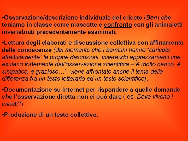  • Osservazione/descrizione individuale del criceto (Ben) che teniamo in classe come mascotte e