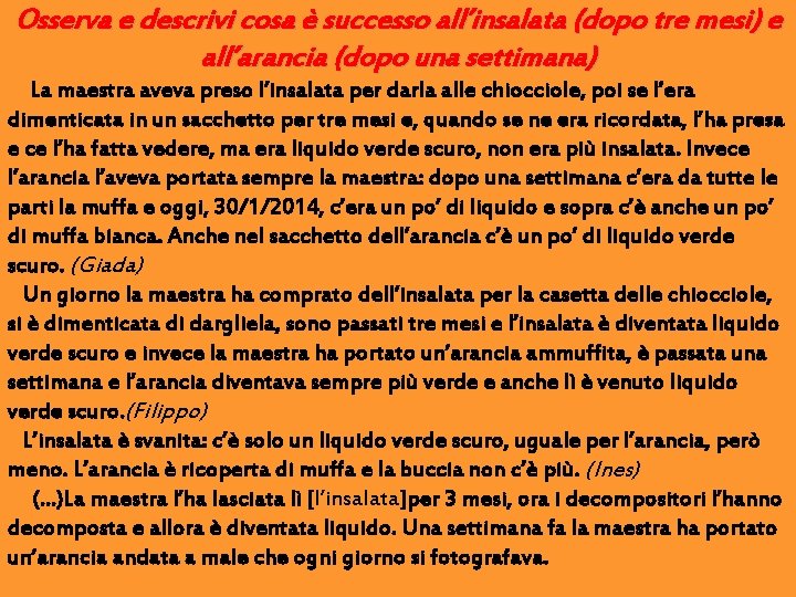 Osserva e descrivi cosa è successo all’insalata (dopo tre mesi) e all’arancia (dopo una