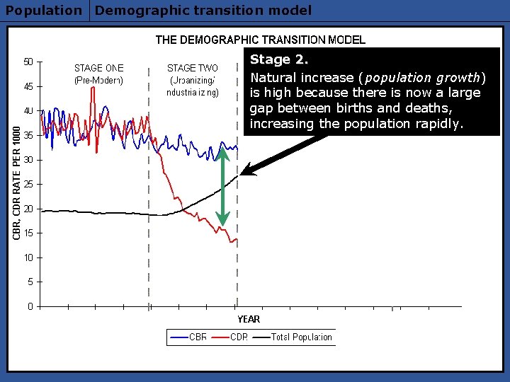 Population Demographic transition model Stage 2. Natural increase (population growth) is high because there