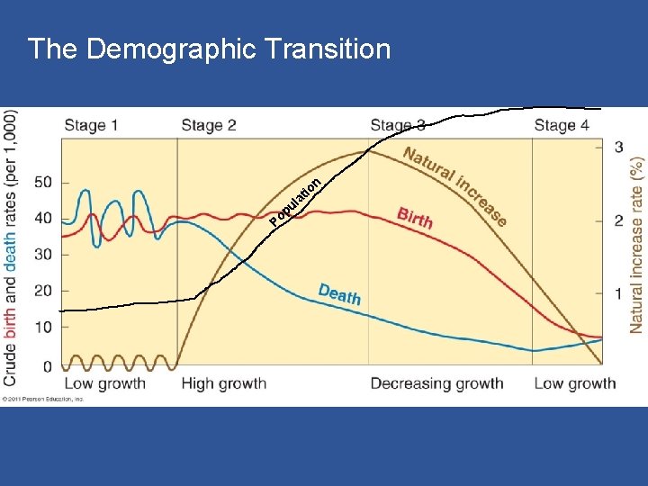 The Demographic Transition n ul p Po io at 