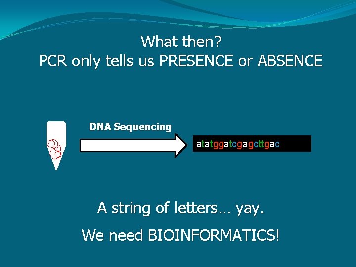 What then? PCR only tells us PRESENCE or ABSENCE DNA Sequencing atatggatcgagcttgac A string