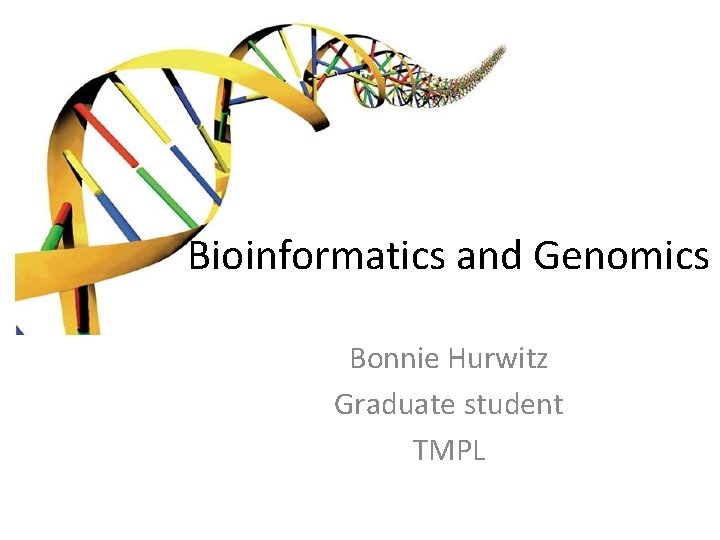 Bioinformatics and Genomics Bonnie Hurwitz Graduate student TMPL 