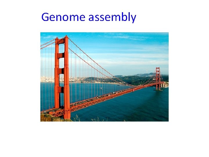 Genome assembly 
