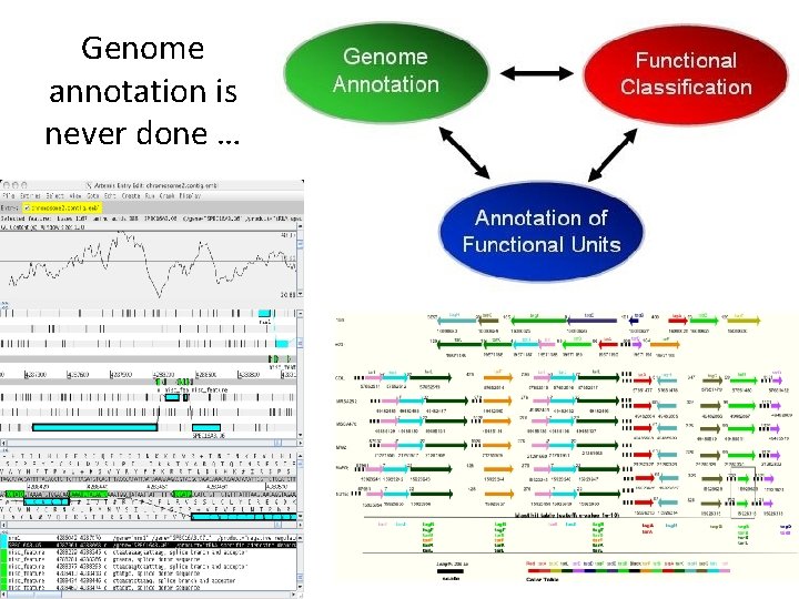 Genome annotation is never done … 