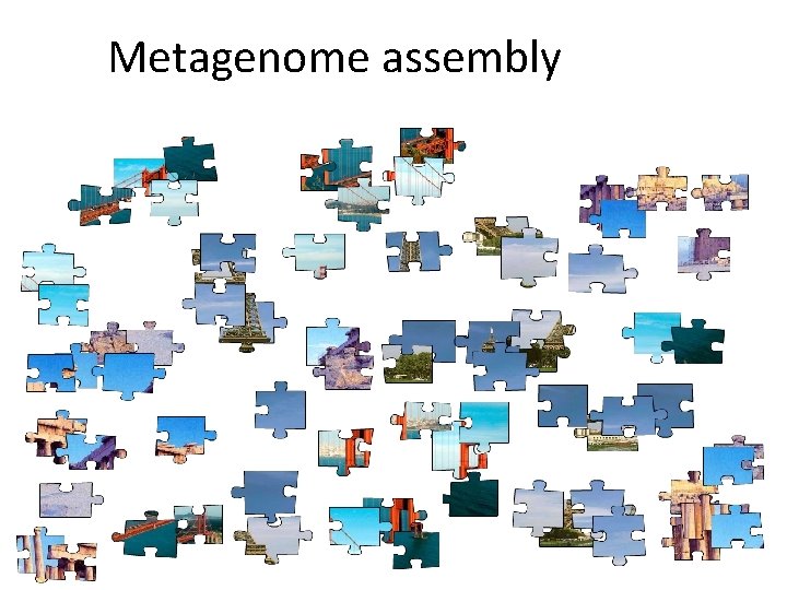 Metagenome assembly 